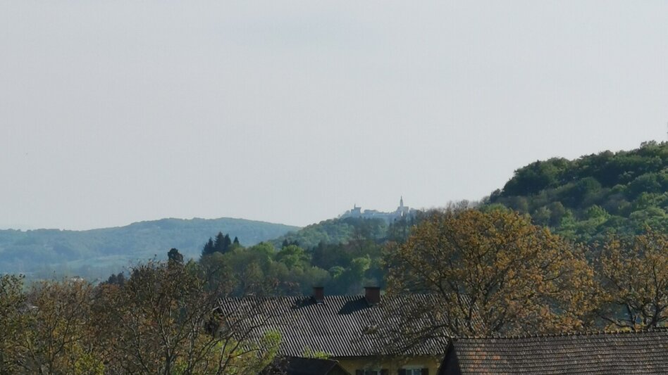 Theme path Kogel circular trail (Kogelrundweg) - Touren-Impression #2.17 | © Thermen- & Vulkanland
