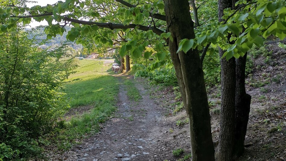 Theme path Kogel circular trail (Kogelrundweg) - Touren-Impression #2.18 | © Thermen- & Vulkanland
