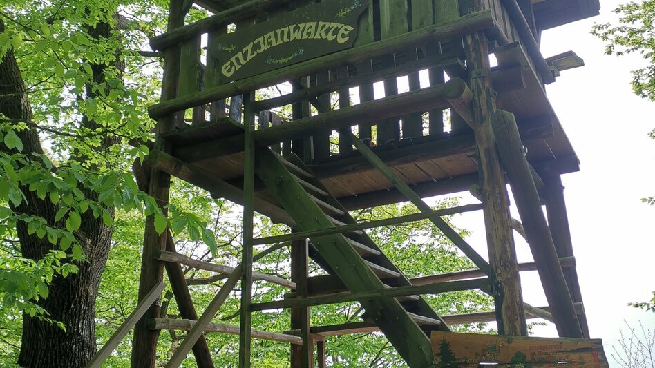 Theme path Kogel circular trail (Kogelrundweg) - Touren-Impression #2.6 | © Thermen- & Vulkanland