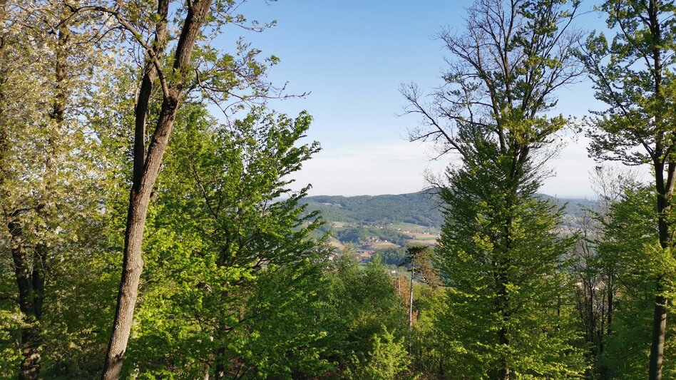 Theme path Kogel circular trail (Kogelrundweg) - Touren-Impression #2.1 | © Thermen- & Vulkanland