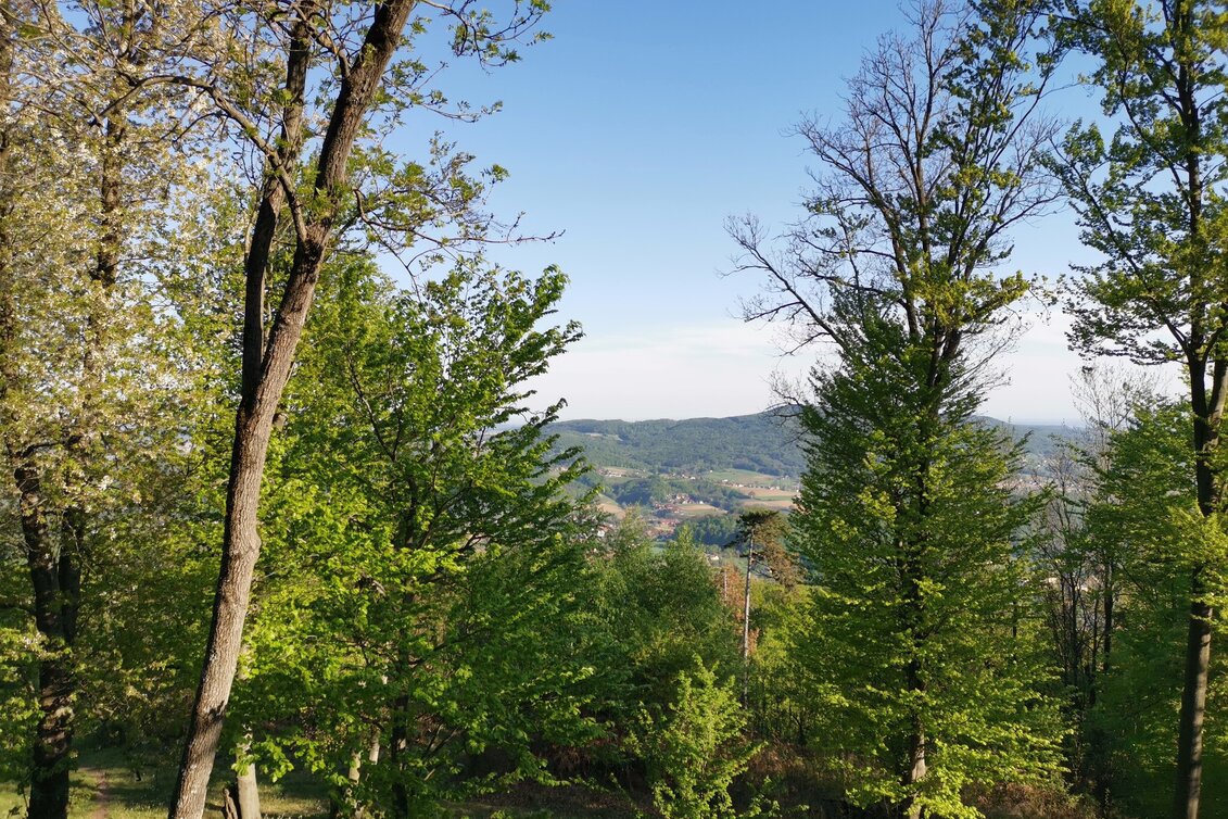 Theme path Kogel circular trail (Kogelrundweg) - Touren-Impression #1 | © Thermen- & Vulkanland