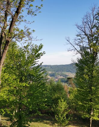 IMG_20200421_173903.jpg | Eva Klampfer | © Thermen- & Vulkanland