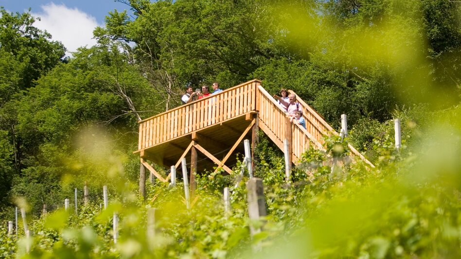 Hiking route Traminerweg Klöch, 1st section, Around the Seindl (Traminerweg Klöch, 1. Abschnitt, Rund um den Seindl ) - Touren-Impression #2.1 | © Erlebnisregion Thermen- & Vulkanland