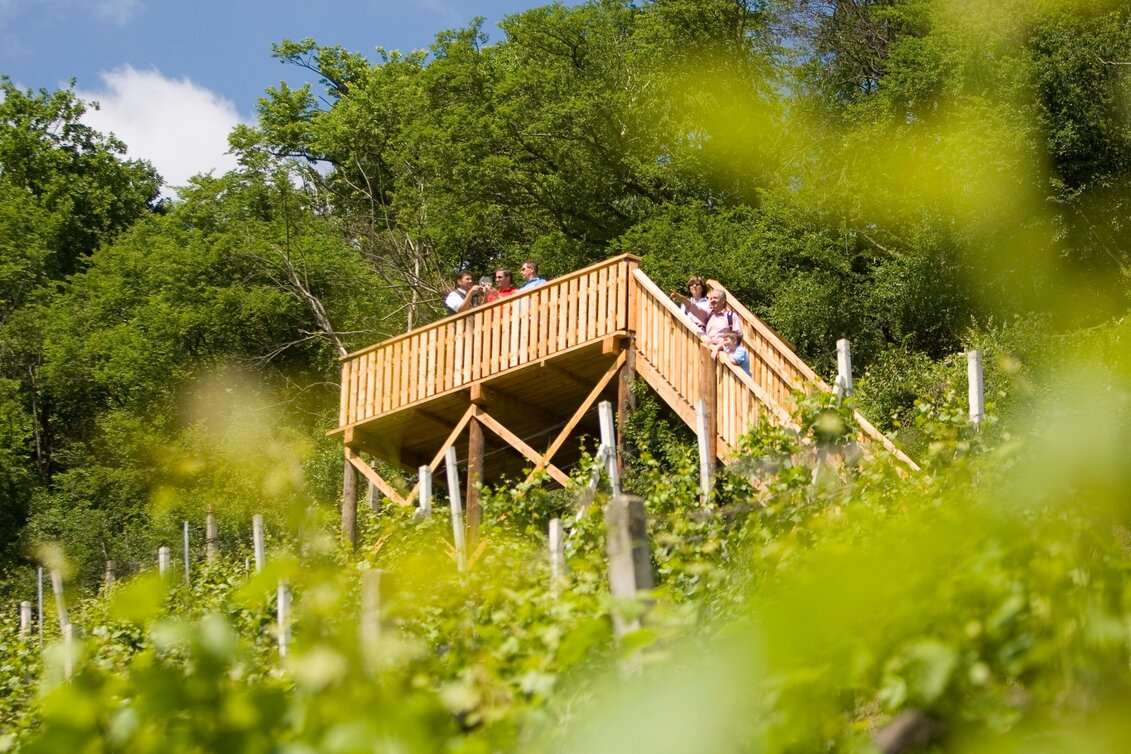Hiking route Traminerweg Klöch, 1st section, Around the Seindl (Traminerweg Klöch, 1. Abschnitt, Rund um den Seindl ) - Touren-Impression #1 | © Erlebnisregion Thermen- & Vulkanland
