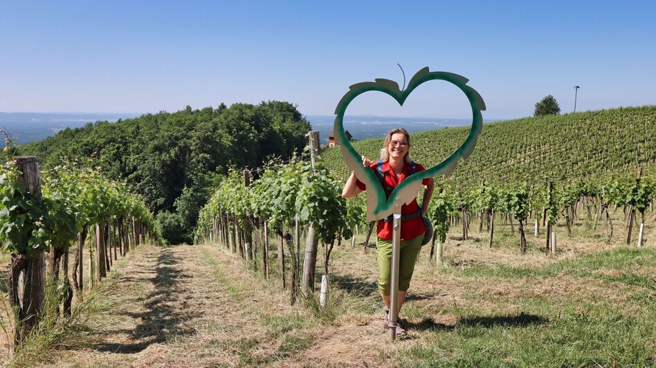 Hiking route Traminerweg Klöch, 1st section, Around the Seindl (Traminerweg Klöch, 1. Abschnitt, Rund um den Seindl ) - Touren-Impression #2.5 | © Thermen- & Vulkanland