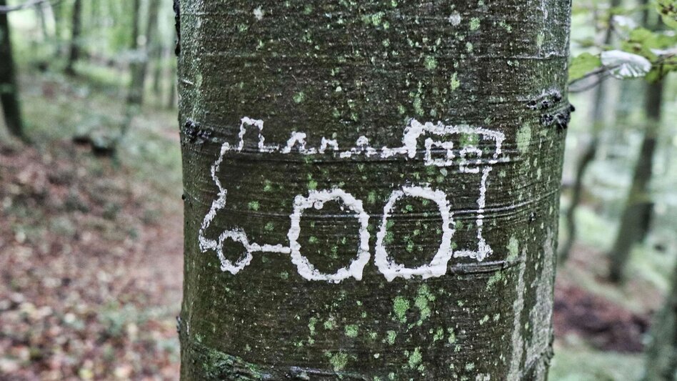 Wanderung Bahnwanderweg Feldbach-Bad Gleichenberg - Touren-Impression #2.2 | © Thermen- & Vulkanland