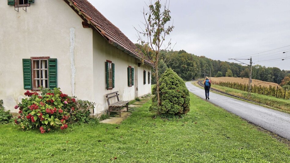 Wanderung Bahnwanderweg Feldbach-Bad Gleichenberg - Touren-Impression #2.5 | © Thermen- & Vulkanland