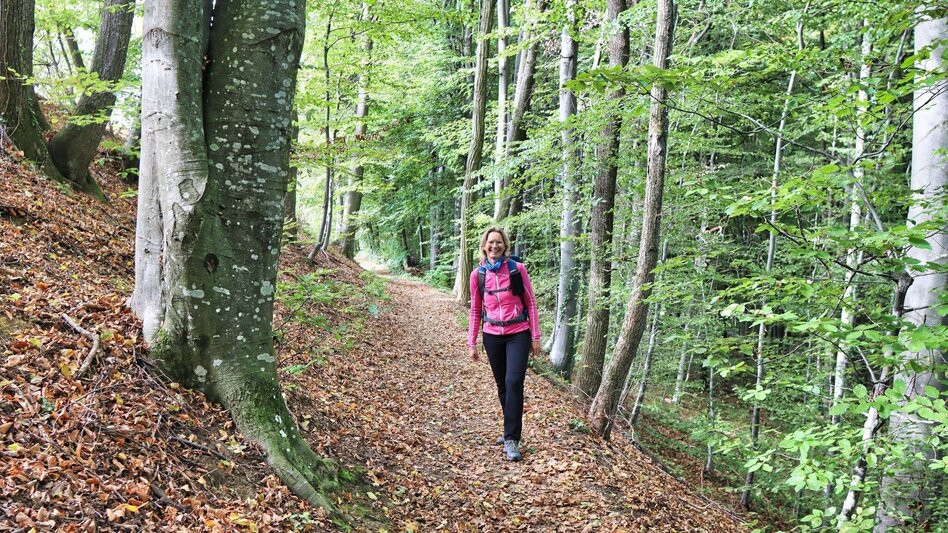 Wanderung Bahnwanderweg Feldbach-Bad Gleichenberg - Touren-Impression #2.7 | © Thermen- & Vulkanland