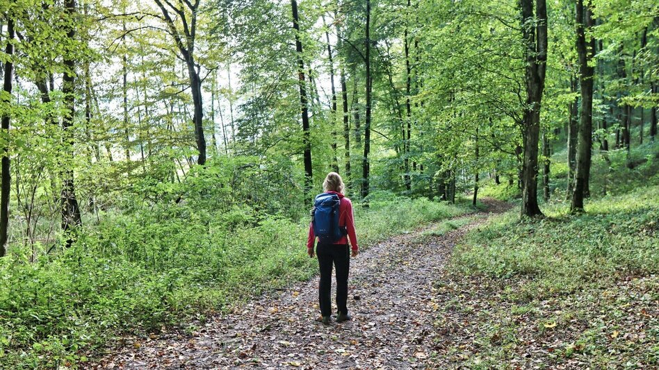 Wanderung Bahnwanderweg Feldbach-Bad Gleichenberg - Touren-Impression #2.9 | © Thermen- & Vulkanland