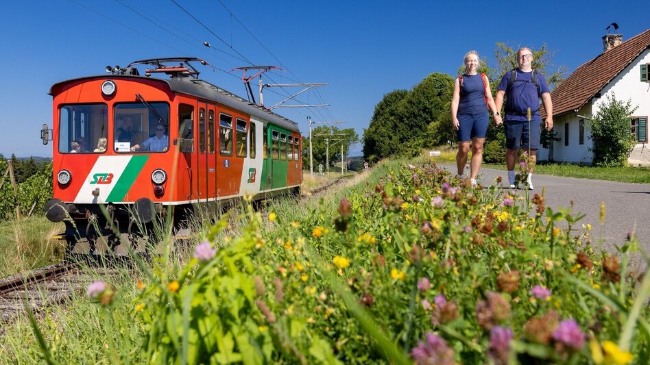 Wanderung Bahnwanderweg Feldbach-Bad Gleichenberg - Touren-Impression #2.15 | © StB