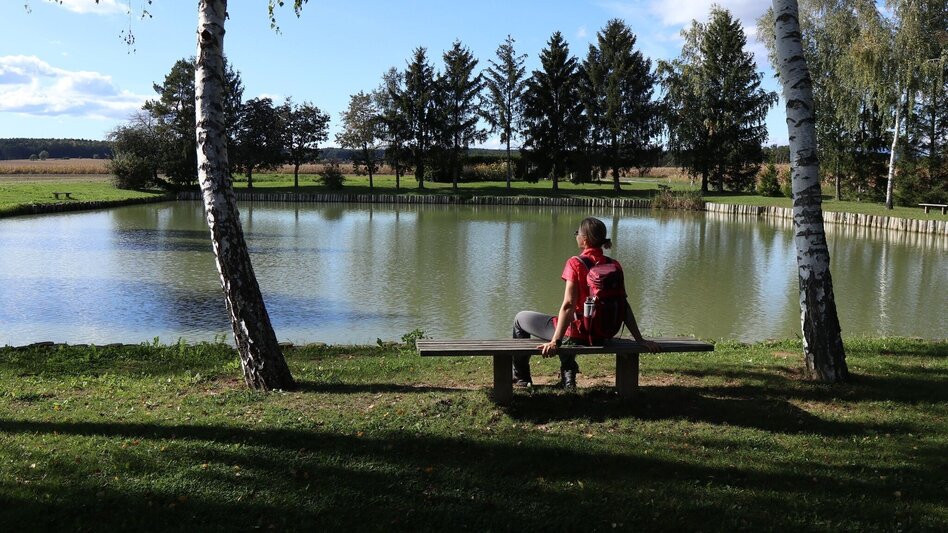 Theme path Celtic tree trail (Keltischer-Baumkreis-Weg) - Touren-Impression #2.1 | © Thermen- & Vulkanland