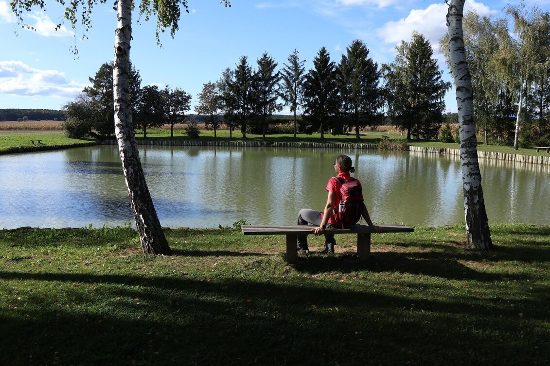 Theme path Celtic tree trail (Keltischer-Baumkreis-Weg) - Touren-Impression #1 | © Thermen- & Vulkanland