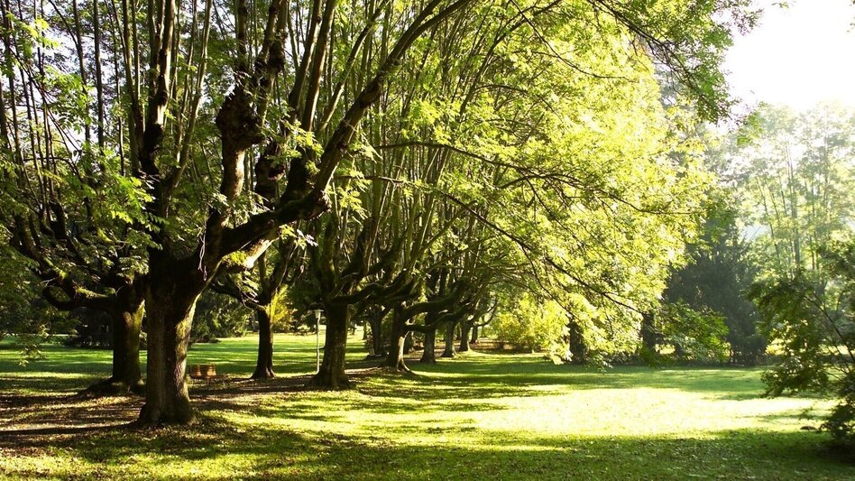 Nordic Walking Large spa park circuit (Große Kurparkrunde) - Touren-Impression #2.4 | © Thermen- & Vulkanland