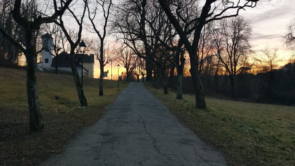 Nordic Walking Large spa park circuit (Große Kurparkrunde) - Touren-Impression #2.12 | © Thermen- & Vulkanland