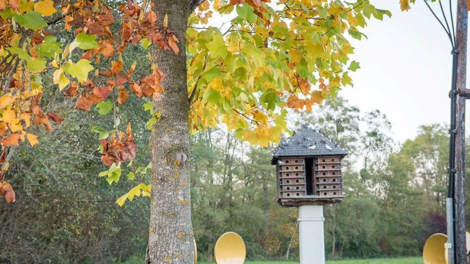 Nordic Walking Running track (Laufstrecke) - Touren-Impression #2.6 | © Kurkommission Bad Blumau