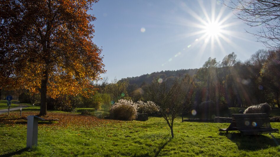 Nordic Walking Running track (Laufstrecke) - Touren-Impression #2.1 | © Kurkommission Bad Blumau