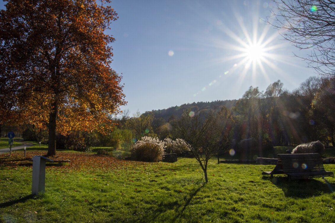 Nordic Walking Running track (Laufstrecke) - Touren-Impression #1 | © Kurkommission Bad Blumau