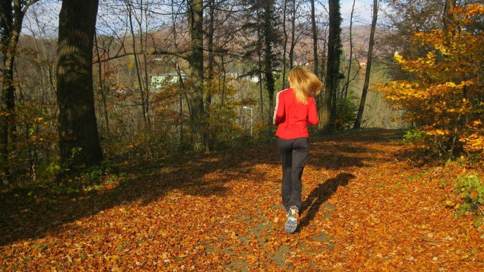 Jogging Merkendorf-Runde 2 - Touren-Impression #2.2 | © Thermen- & Vulkanland