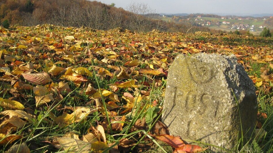 Jogging Merkendorf-Runde 2 - Touren-Impression #2.4 | © Thermen- & Vulkanland