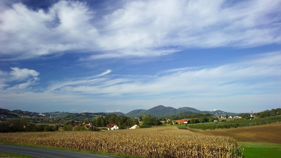 Jogging Merkendorf-Runde 2 - Touren-Impression #2.8 | © Thermen- & Vulkanland