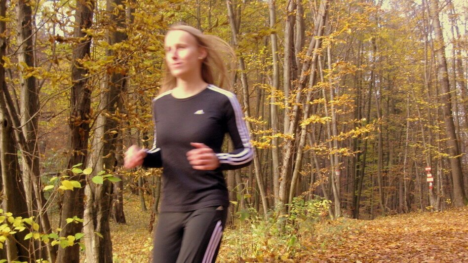 Jogging Merkendorf round 1 (Merkendorf-Runde 1) - Touren-Impression #2.3 | © Thermen- & Vulkanland