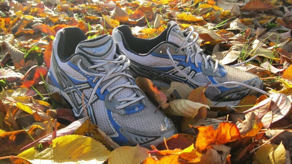 Jogging Merkendorf round 1 (Merkendorf-Runde 1) - Touren-Impression #2.5 | © Thermen- & Vulkanland