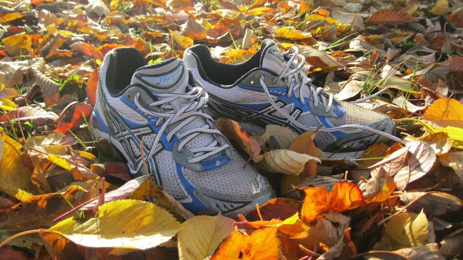 Jogging Merkendorf round 1 (Merkendorf-Runde 1) - Touren-Impression #2.7 | © Thermen- & Vulkanland