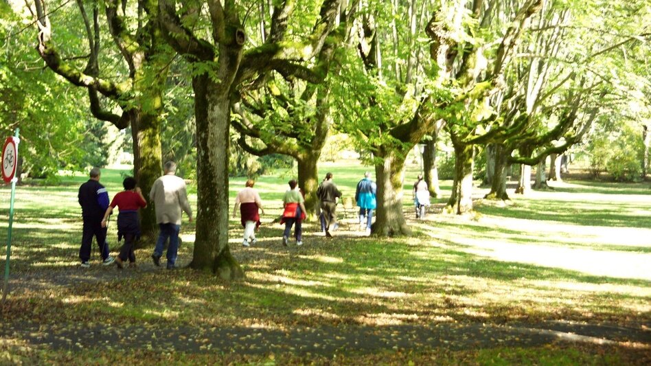 Nordic Walking Small spa park circuit (Kleine Kurparkrunde) - Touren-Impression #2.7 | © Thermen- & Vulkanland
