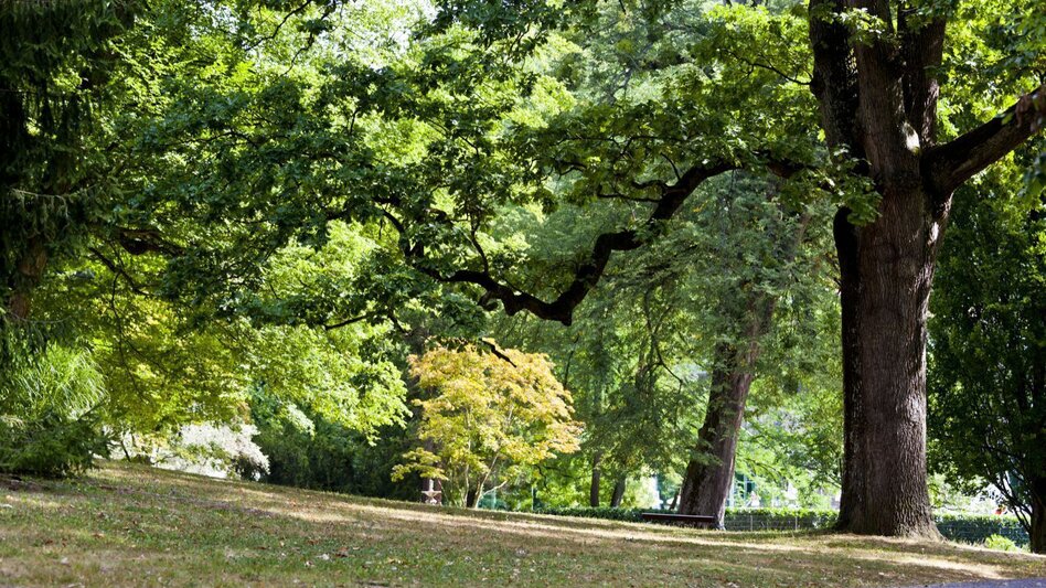 Nordic Walking Small spa park circuit (Kleine Kurparkrunde) - Touren-Impression #2.9 | © Thermen- & Vulkanland