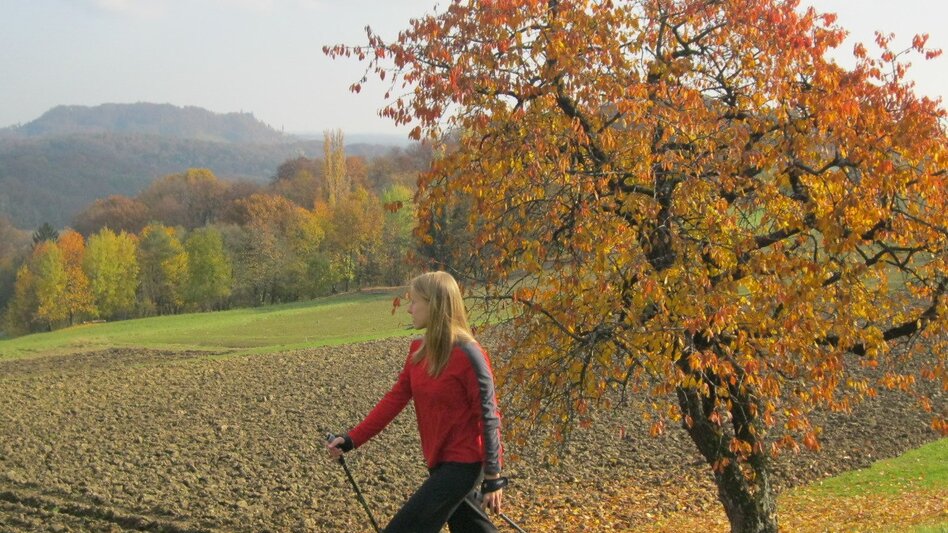 Wanderung Gossendorf-Runde - Touren-Impression #2.1 | © Thermen- & Vulkanland