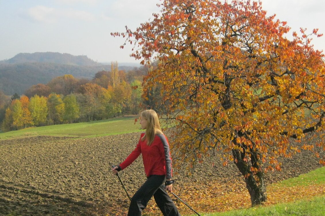 Wanderung Gossendorf-Runde - Touren-Impression #1 | © Thermen- & Vulkanland