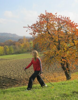Gossendorf-Runde | Birgit Weiß | © Thermen- & Vulkanland