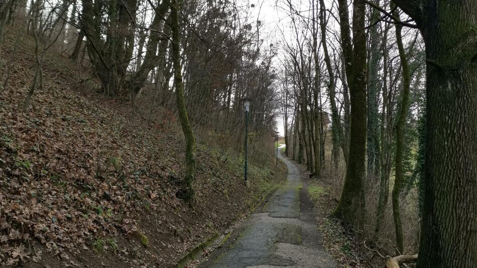 Jogging Bairisch Kölldorf 2 - Touren-Impression #2.6 | © Thermen- & Vulkanland