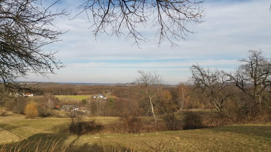 Jogging Bairisch Kölldorf 2 - Touren-Impression #2.8 | © Thermen- & Vulkanland