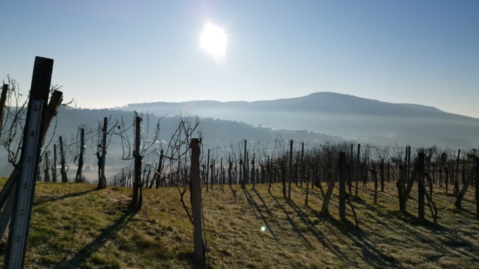 Jogging Bairisch Kölldorf 2 - Touren-Impression #2.11 | © Thermen- & Vulkanland