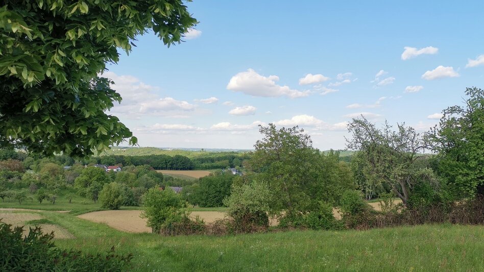 Jogging Bairisch Kölldorf 2 - Touren-Impression #2.13 | © Thermen- & Vulkanland