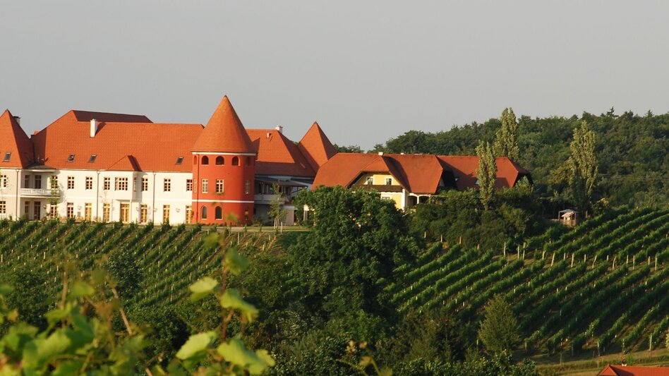 Panoramatouren/Themenstraßen Thermenland-Weinstraße - Touren-Impression #2.5 | © Schloss Weingut Thaller