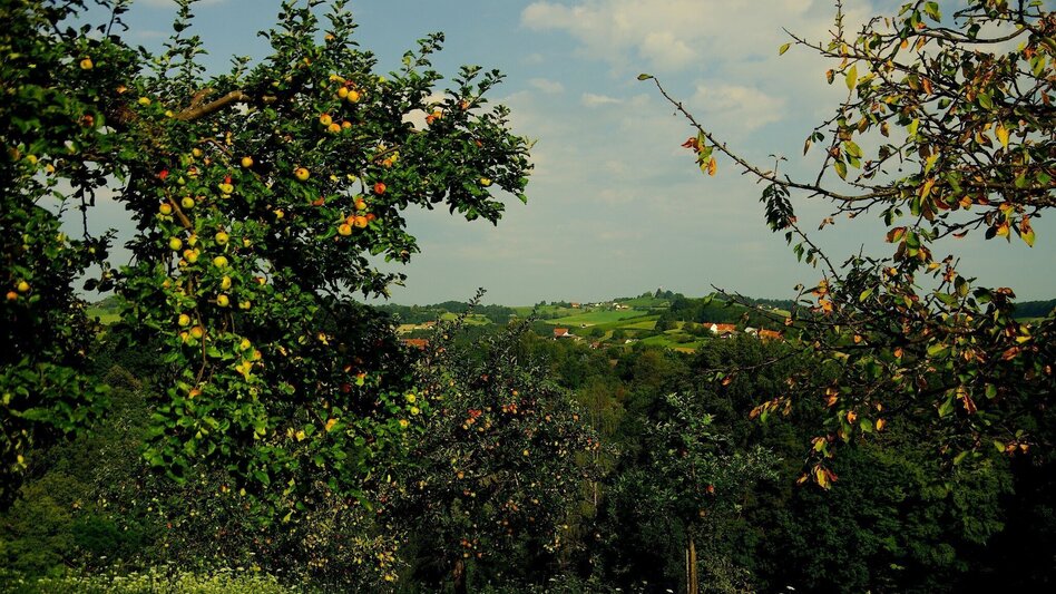 Bike Riding Mill tour FF14 (Mühlentour) - Touren-Impression #2.4 | © Thermen- & Vulkanland