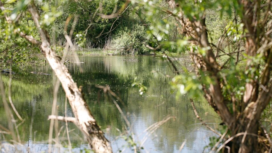 Bike Riding Mill tour FF14 (Mühlentour) - Touren-Impression #2.1 | © Thermen- & Vulkanland