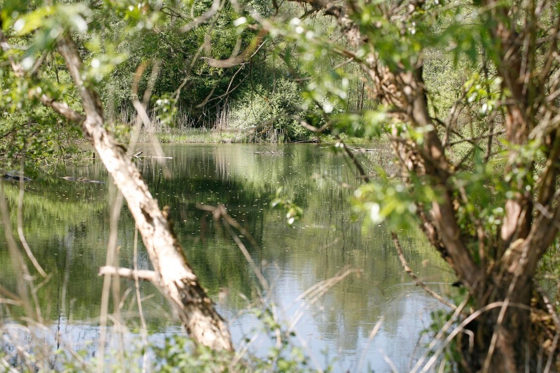 Bike Riding Mill tour FF14 (Mühlentour) - Touren-Impression #1 | © Thermen- & Vulkanland