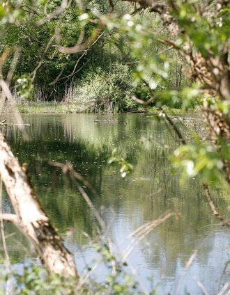 Feistritz-Au | Johann Gollowitsch | © Thermen- & Vulkanland
