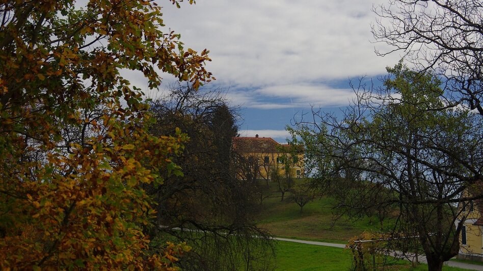 Radfahren Römertour - FF 15 - Touren-Impression #2.1 | © Thermen- & Vulkanland
