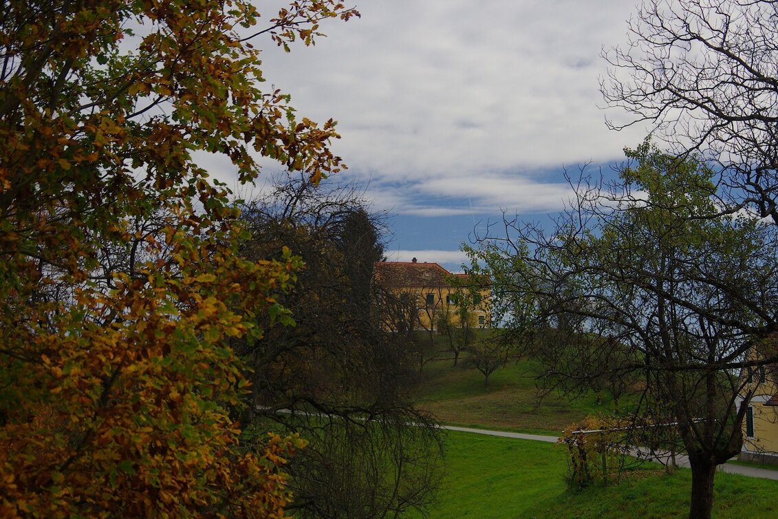 Radfahren Römertour - FF 15 - Touren-Impression #1 | © Thermen- & Vulkanland