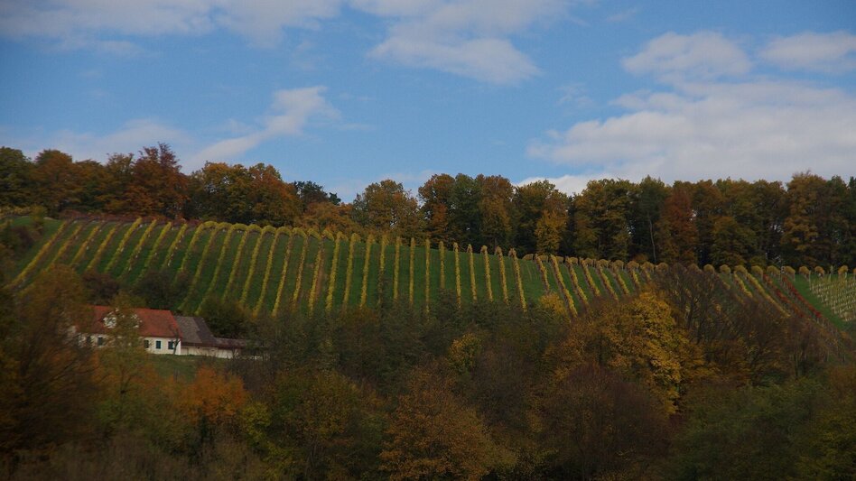 Radfahren Römertour - FF 15 - Touren-Impression #2.2 | © Erlebnisregion Thermen- & Vulkanland