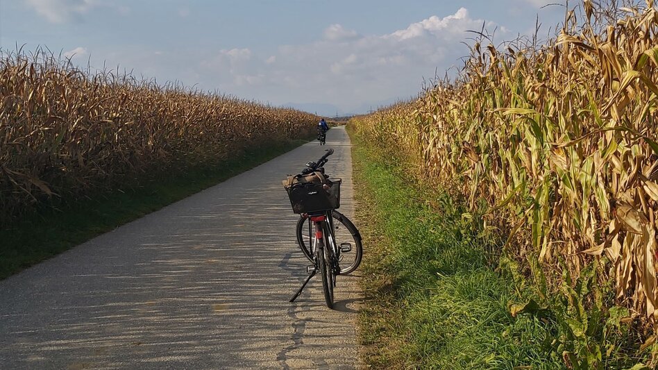 Bike Riding Sun tour, Gleisdorf - Touren-Impression #2.1 | © Oststeiermark Tourismus