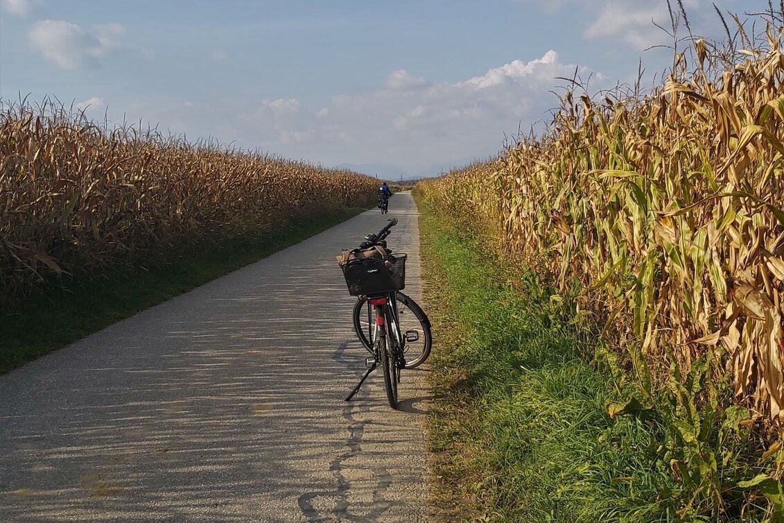 Bike Riding Sun tour, Gleisdorf - Touren-Impression #1 | © Oststeiermark Tourismus