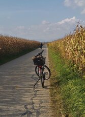 Raabtal cycle paths before Gleisdorf, Eastern Styria | © Oststeiermark Tourismus | Christine Pollhammer | © Oststeiermark Tourismus
