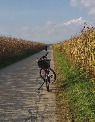 Raabtal cycle paths before Gleisdorf, Eastern Styria | Christine Pollhammer | © Oststeiermark Tourismus