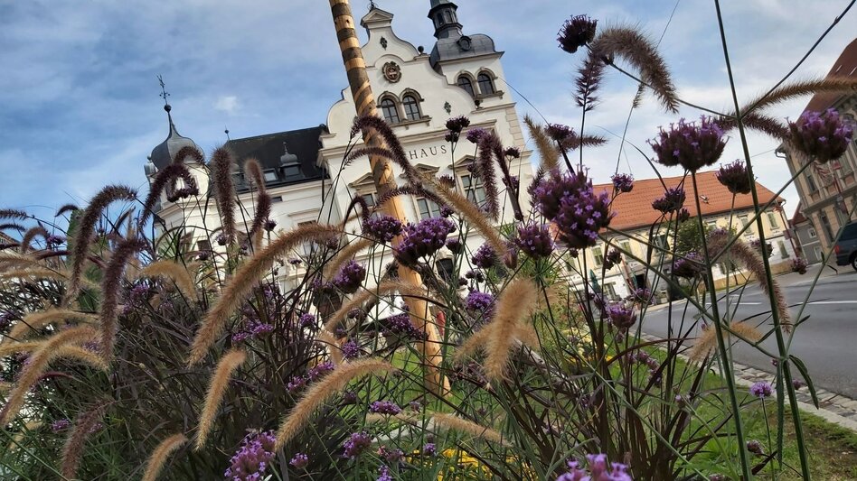 Bike Riding Sun tour, Gleisdorf - Touren-Impression #2.3 | © Oststeiermark Tourismus