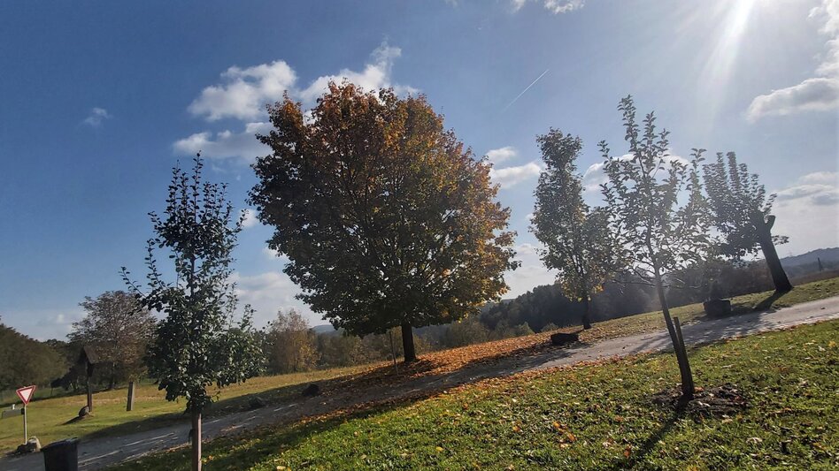 Bike Riding Sun tour, Gleisdorf - Touren-Impression #2.5 | © Oststeiermark Tourismus